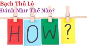 bach thu lo danh nhu the nao